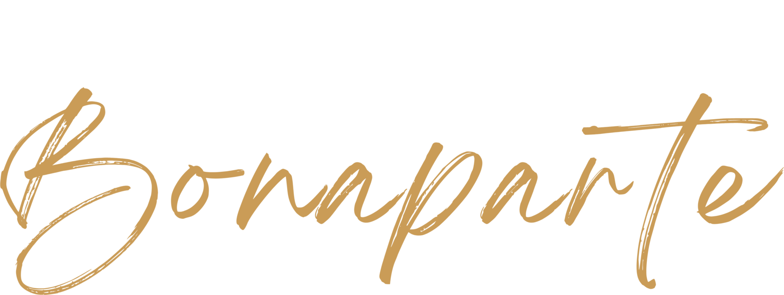 Villa Bonaparte